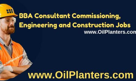 BBA Consultant Commissioning, Engineering and Construction Jobs