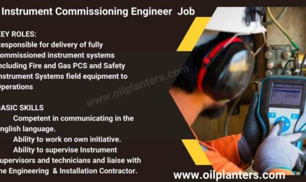 Instrument Commissioning Engineer Job