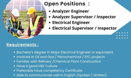 Analyzer Engineer, Electrical Engineer Job
